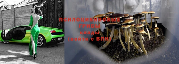 амф Нефтекумск