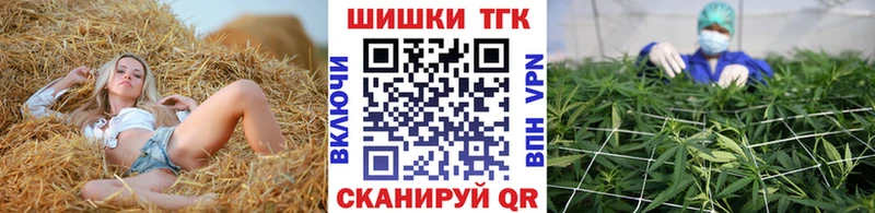 Купить где  Игарка  Канабис семена 